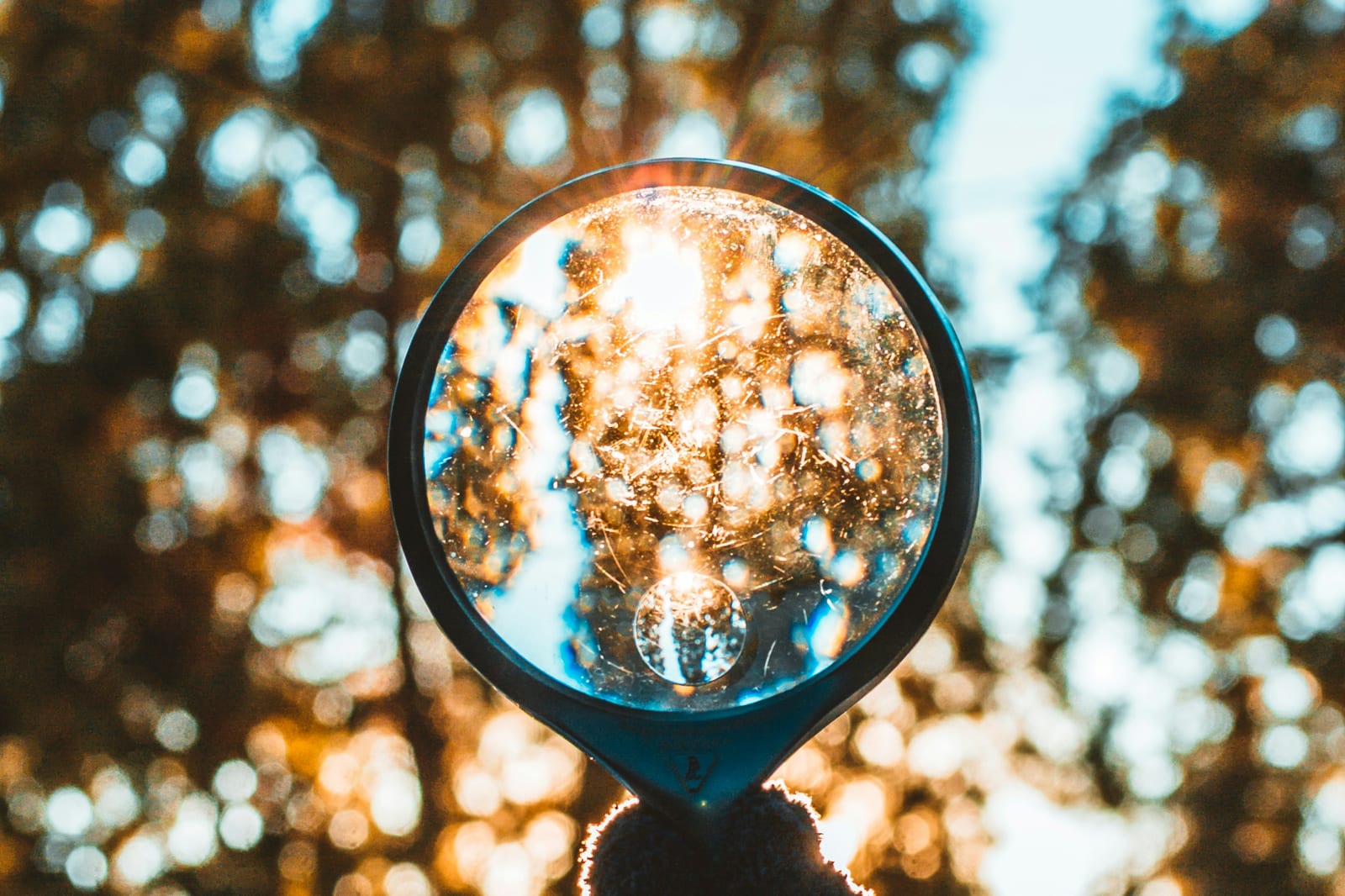 A magnifying glass held up against blurred autumn trees and low sun, with the leaves seen through the lens in sharp focus